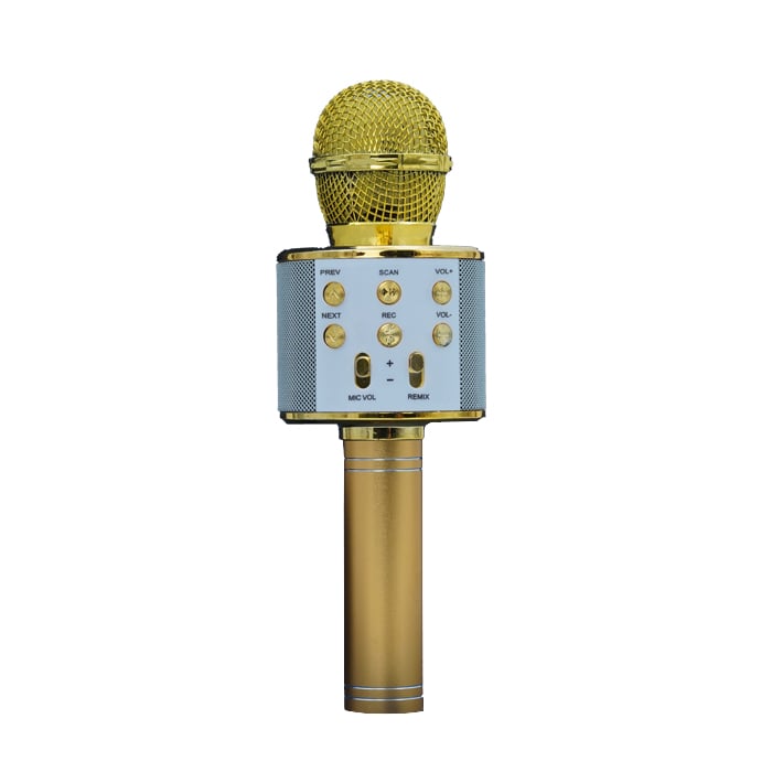 میکروفون اسپیکر بلوتوثی WS-858